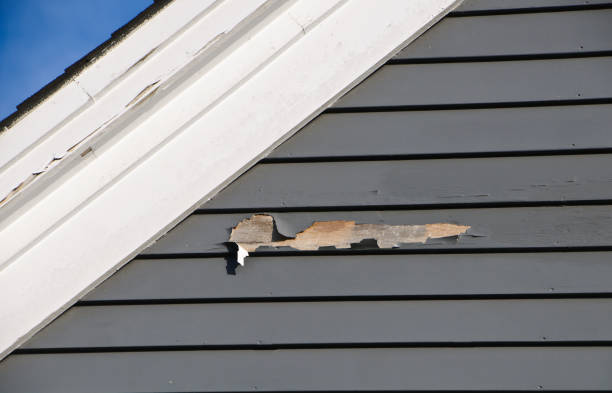 Professional Siding Services in Lafayette, OR