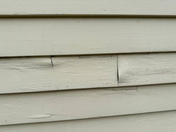 Best Steel Siding Installation  in Lafayette, OR